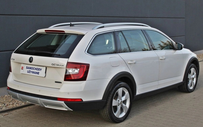 Skoda Octavia cena 94500 przebieg: 109573, rok produkcji 2019 z Zator małe 704